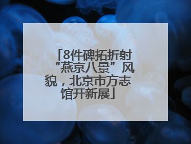 8件碑拓折射“燕京八景”风貌，北京市方志馆开新展