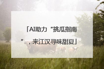 AI助力“挑瓜指南”，来江汉寻味甜夏
