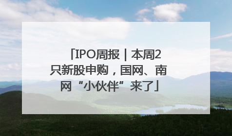 IPO周报｜本周2只新股申购，国网、南网“小伙伴”来了