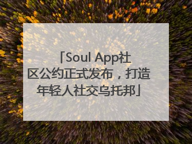 Soul App社区公约正式发布，打造年轻人社交乌托邦